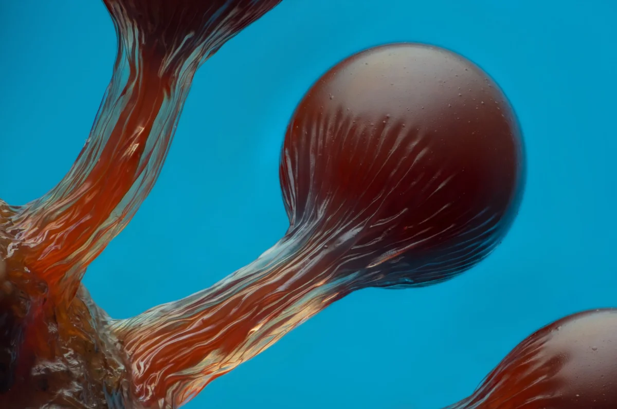 A microscopic view of mold spore structures, looking like small spheres atop narrow stalks