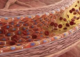 MTR4 May Help Protect Aging Blood Vessels, Study Finds