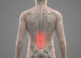 ZNF865 Shows Promise in Lab Studies of Spinal Disc Aging