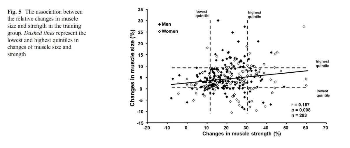 Muscle Growth and Strength Gains: What a New Correlation Study Really Shows