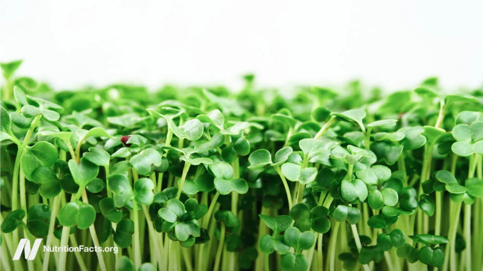 Broccoli Sprouts, Garlic and H. pylori: What the Evidence Shows