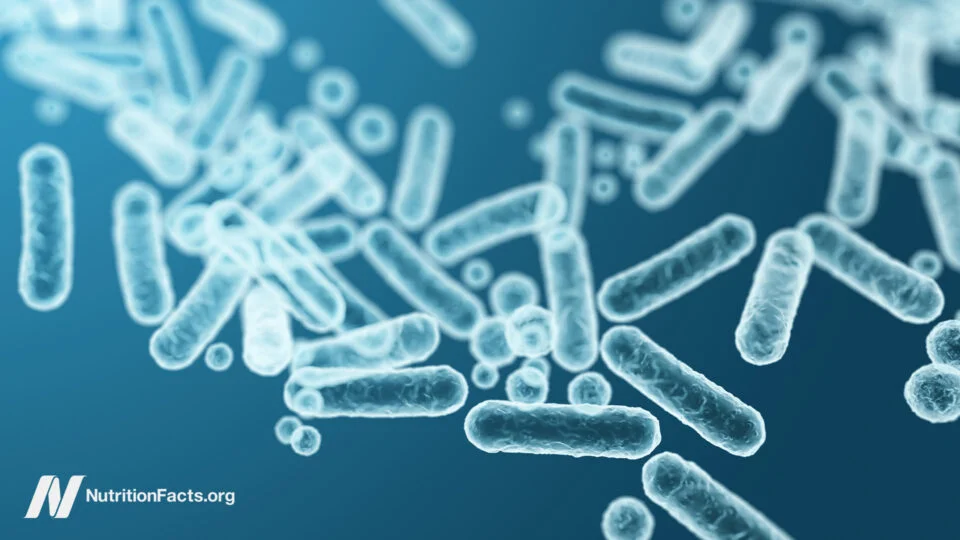 Gut Bacteria May Shape How Diet Affects TMAO and Fiber Benefits