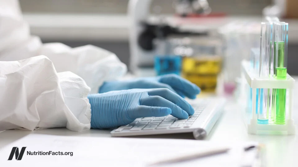 When Observational Nutrition Studies Can Guide Dietary Advice