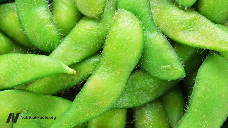 Plant Protein and Health: What Large Studies Say About Protein Sources